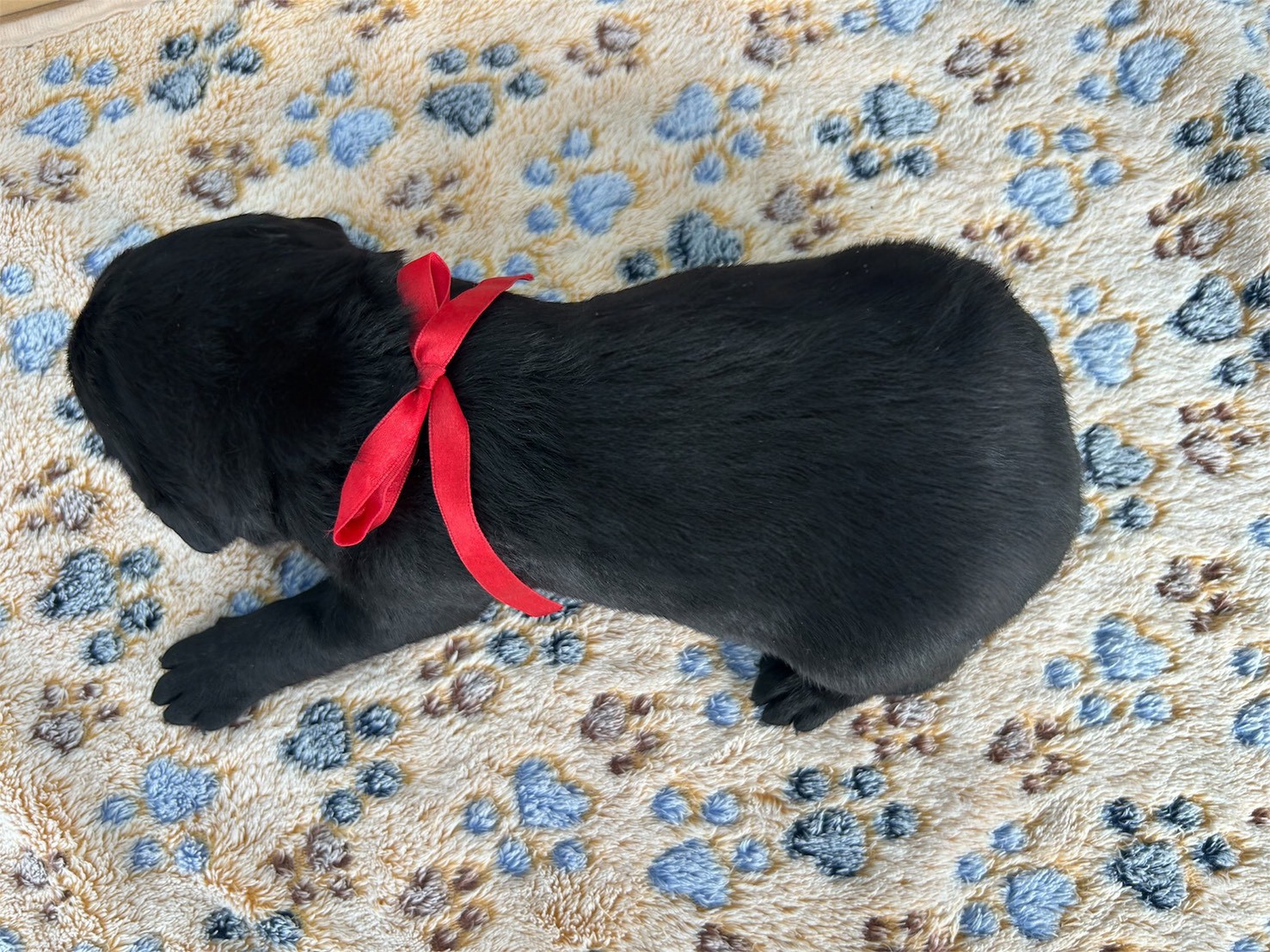 赤ちゃん写真2-3