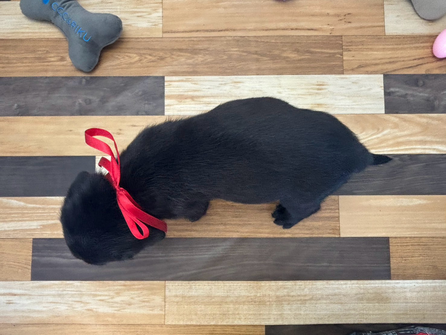 赤ちゃん写真3-3