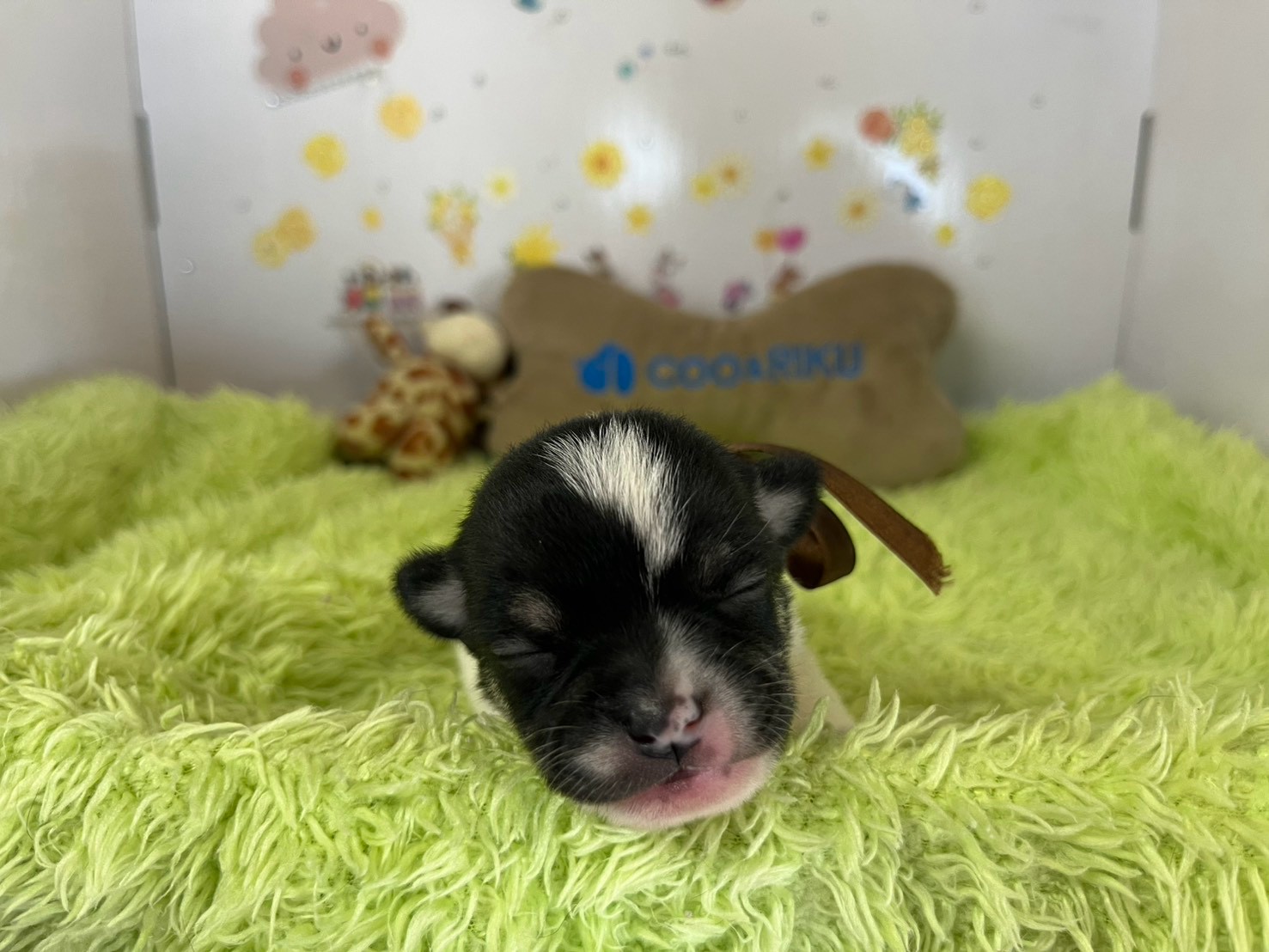 赤ちゃん写真1-1