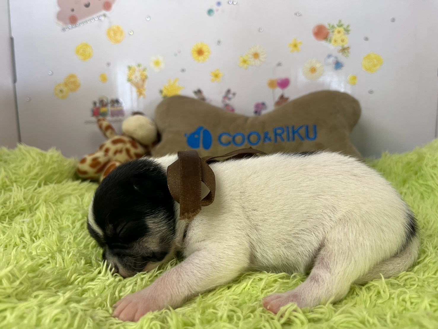 赤ちゃん写真1-2