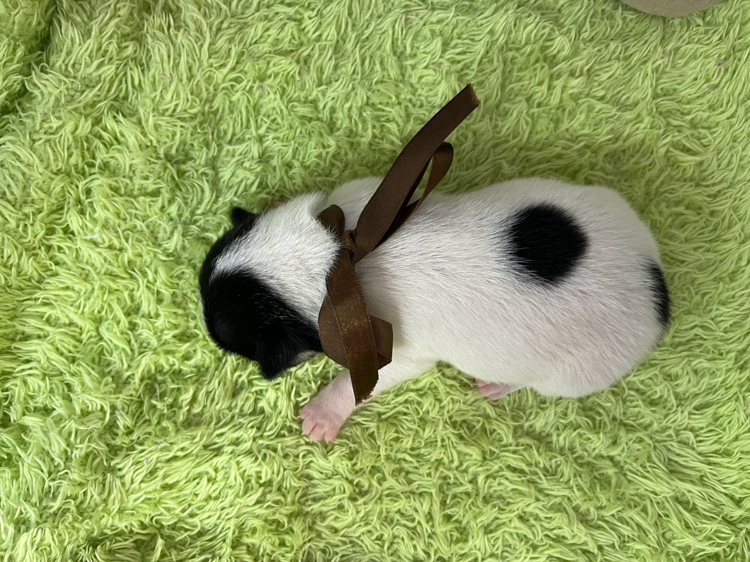 赤ちゃん写真1-3