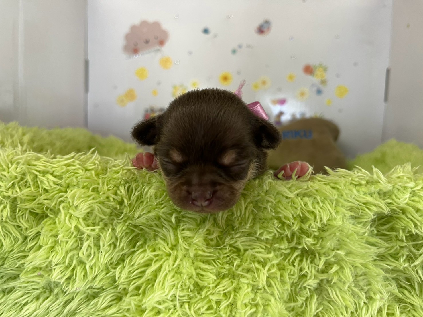 赤ちゃん写真1-1