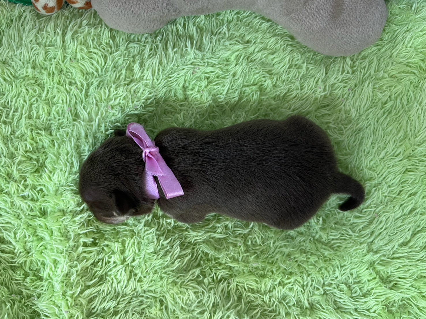 赤ちゃん写真1-3