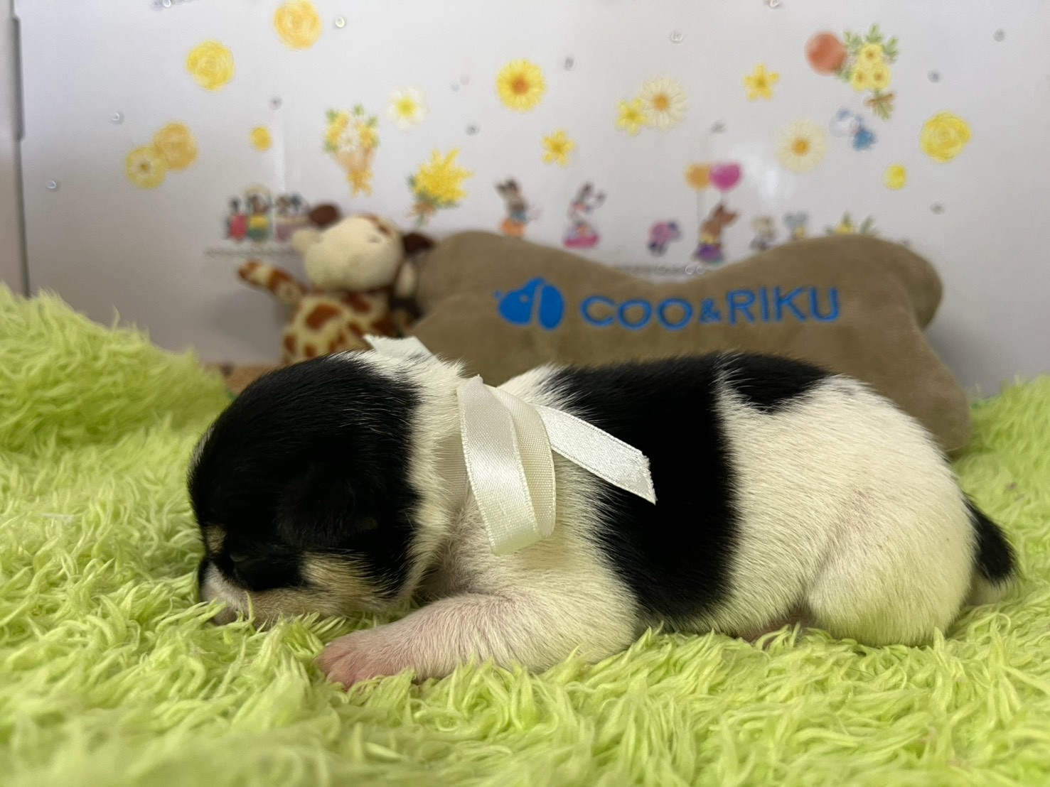 赤ちゃん写真1-2