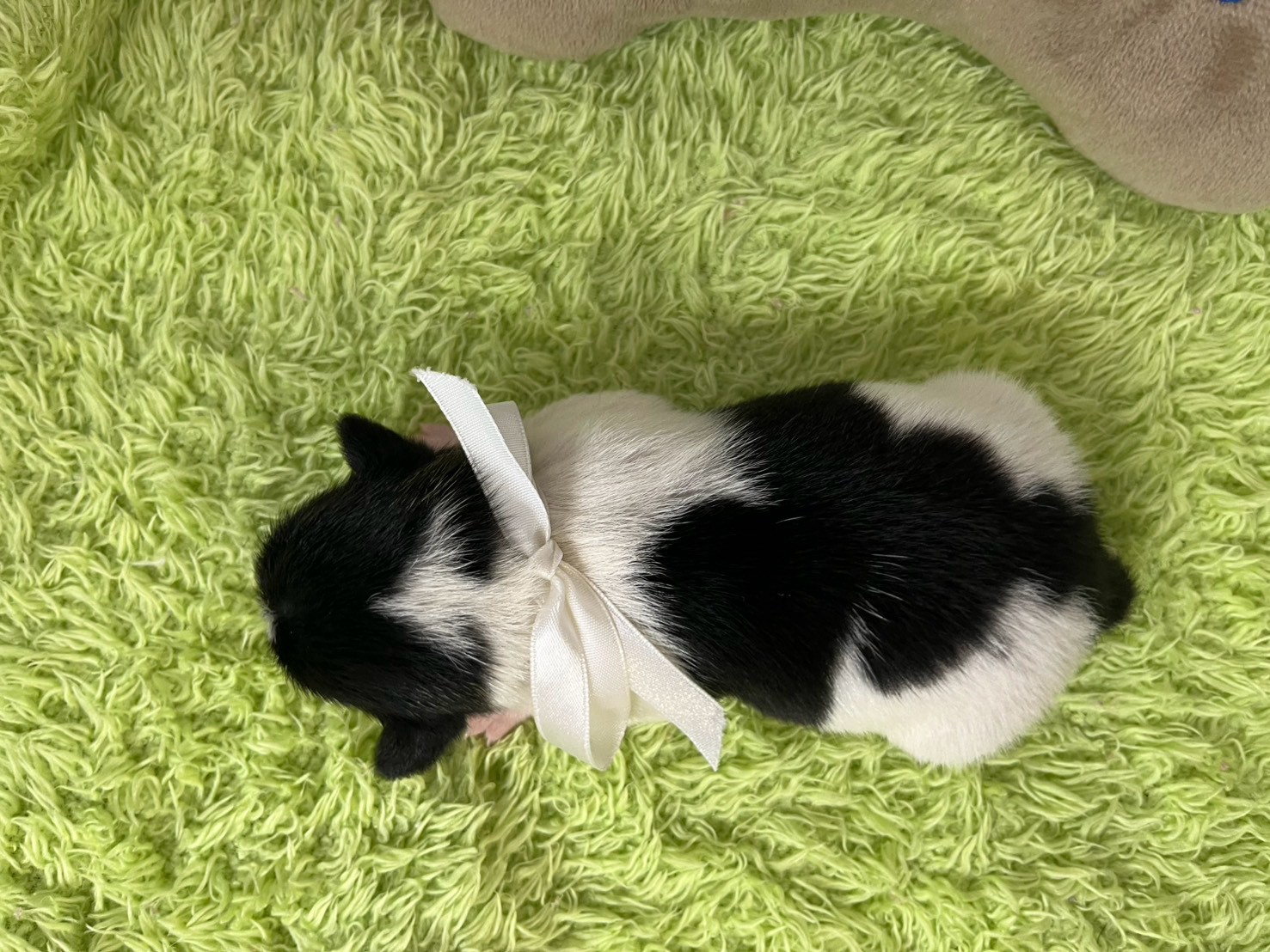 赤ちゃん写真1-3