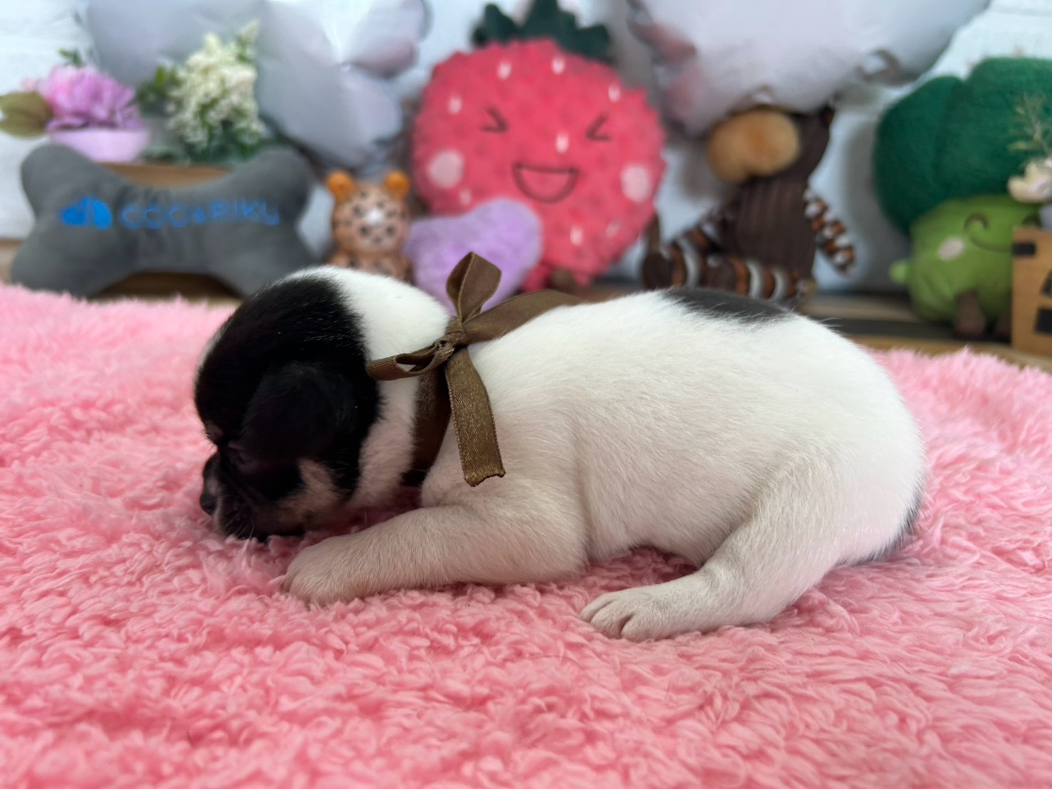 赤ちゃん写真2-2