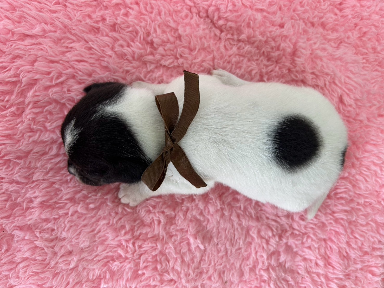 赤ちゃん写真2-3