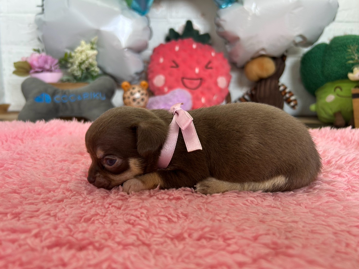 赤ちゃん写真2-2
