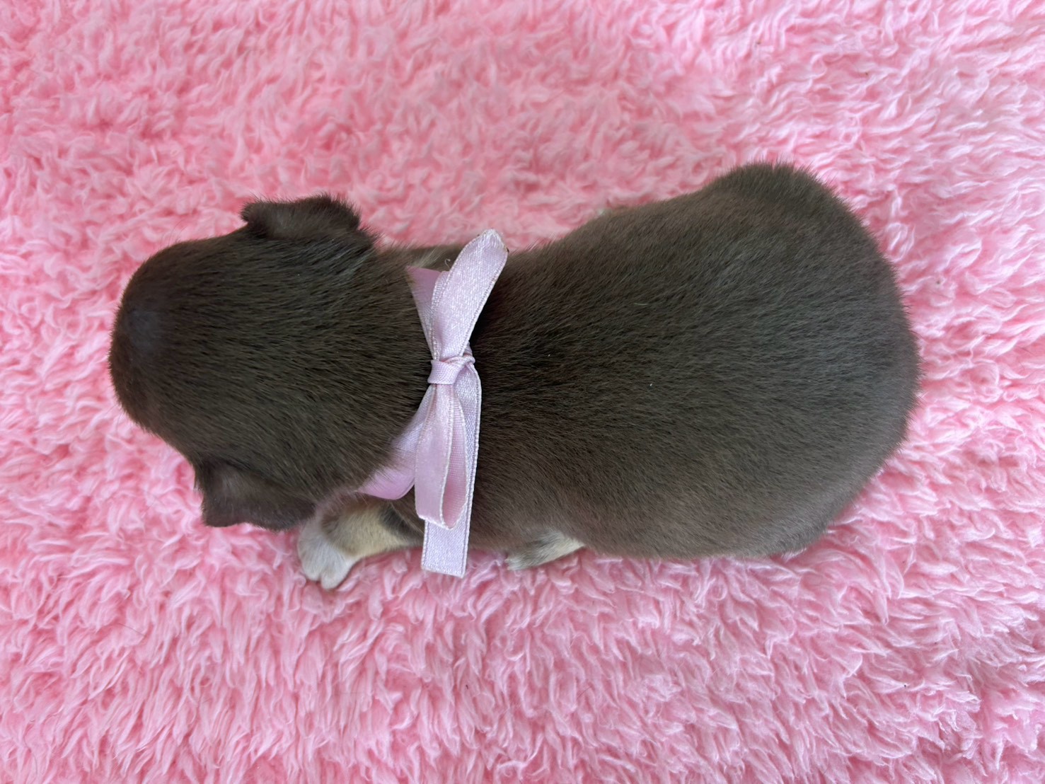 赤ちゃん写真2-3
