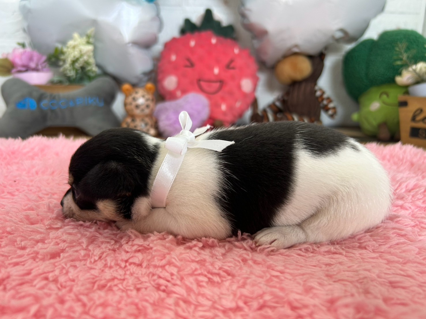 赤ちゃん写真2-2