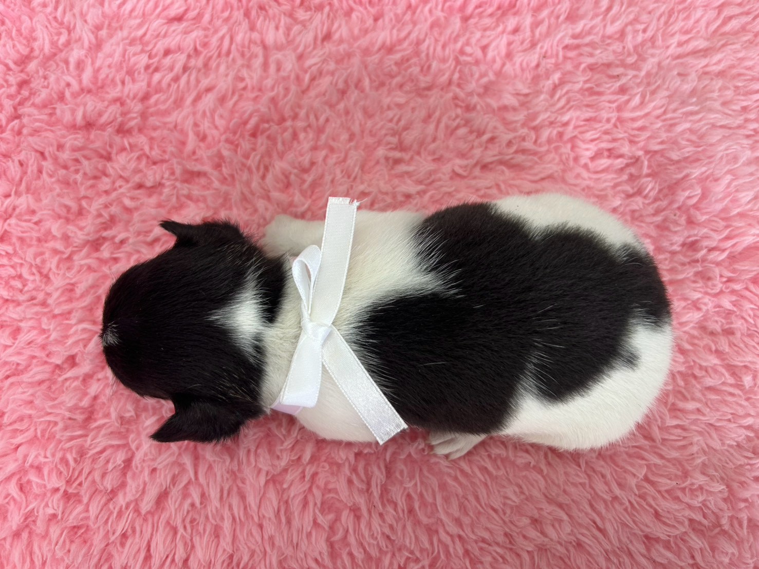 赤ちゃん写真2-3