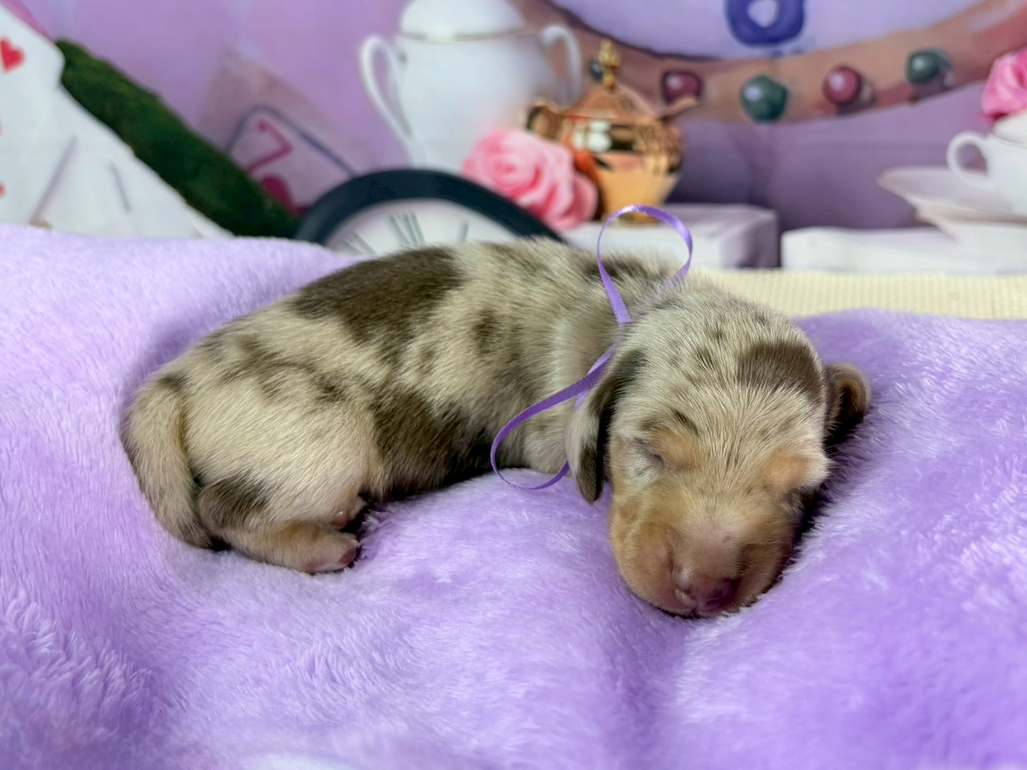 赤ちゃん写真1-2