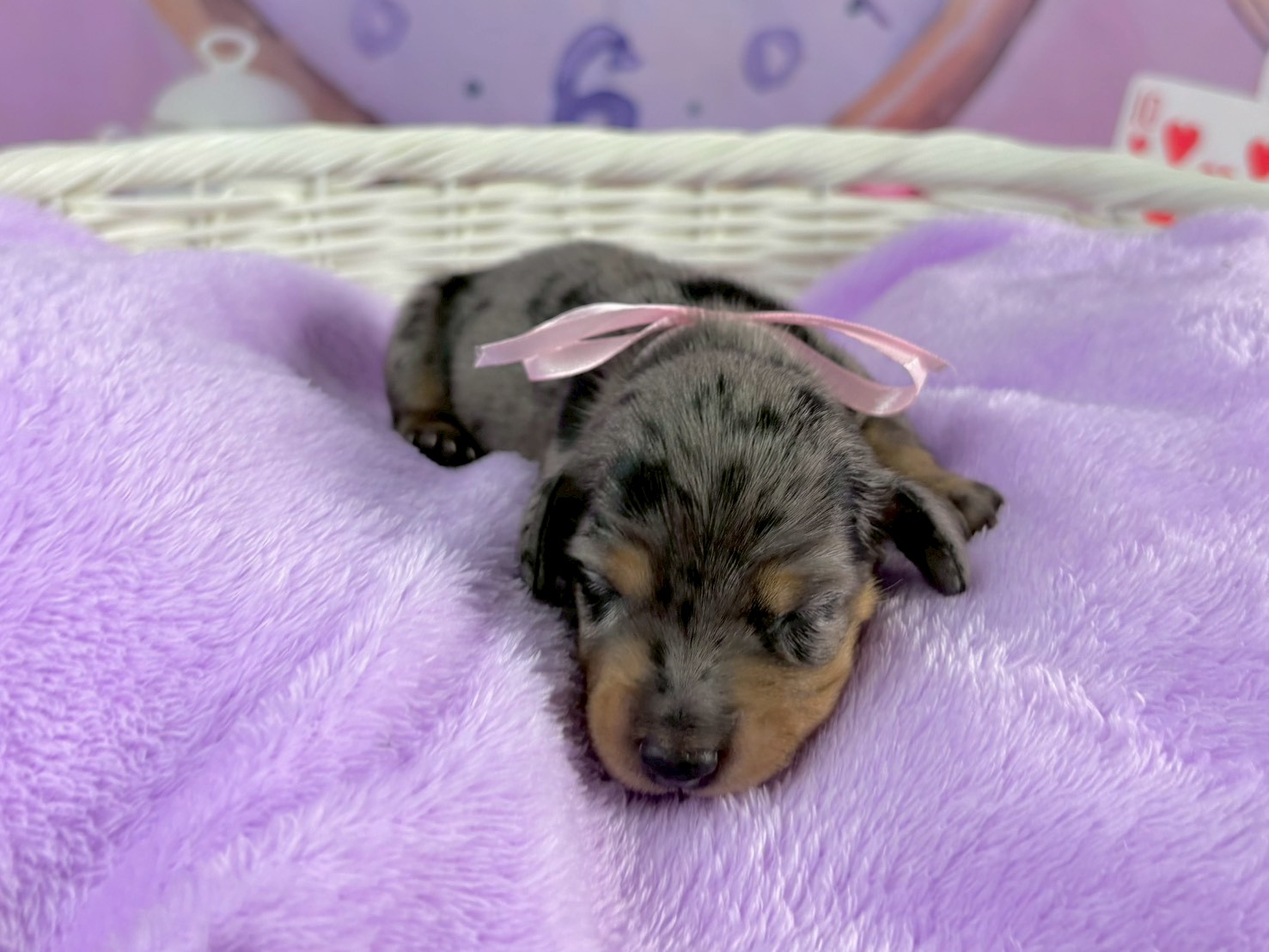 赤ちゃん写真1-1