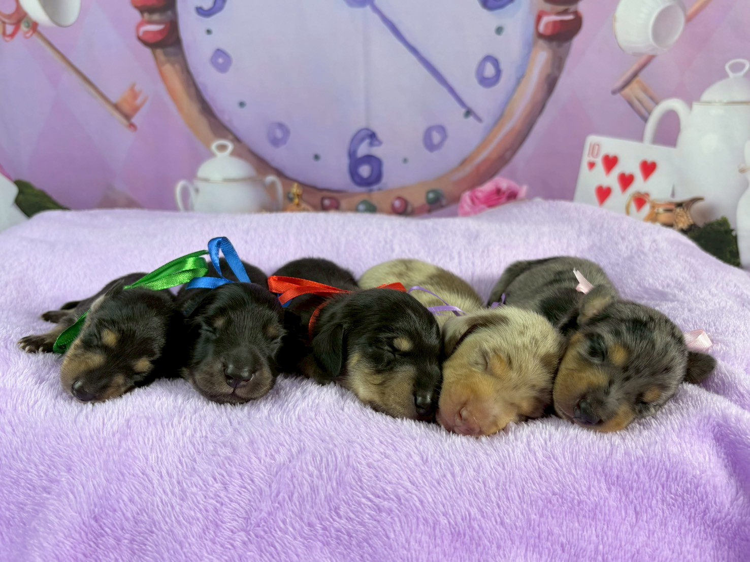 赤ちゃん写真1-3