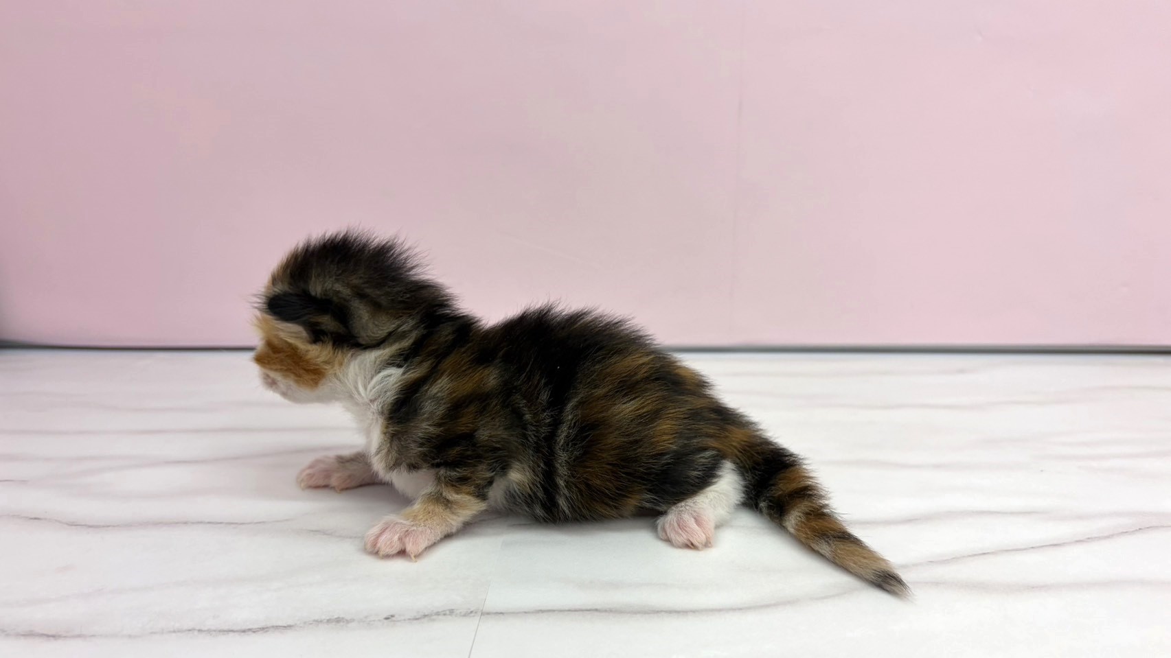 赤ちゃん写真1-2