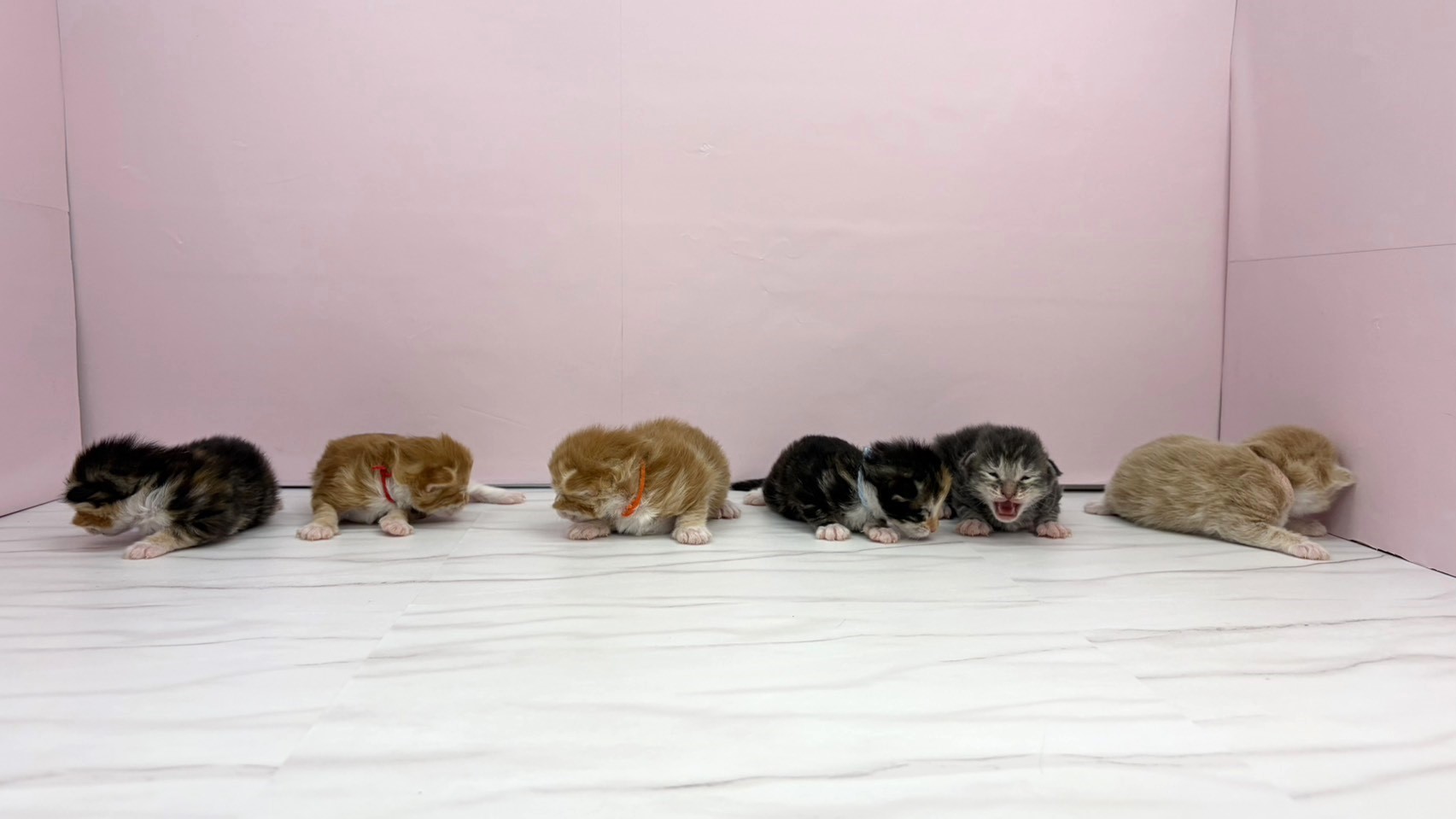赤ちゃん写真1-3