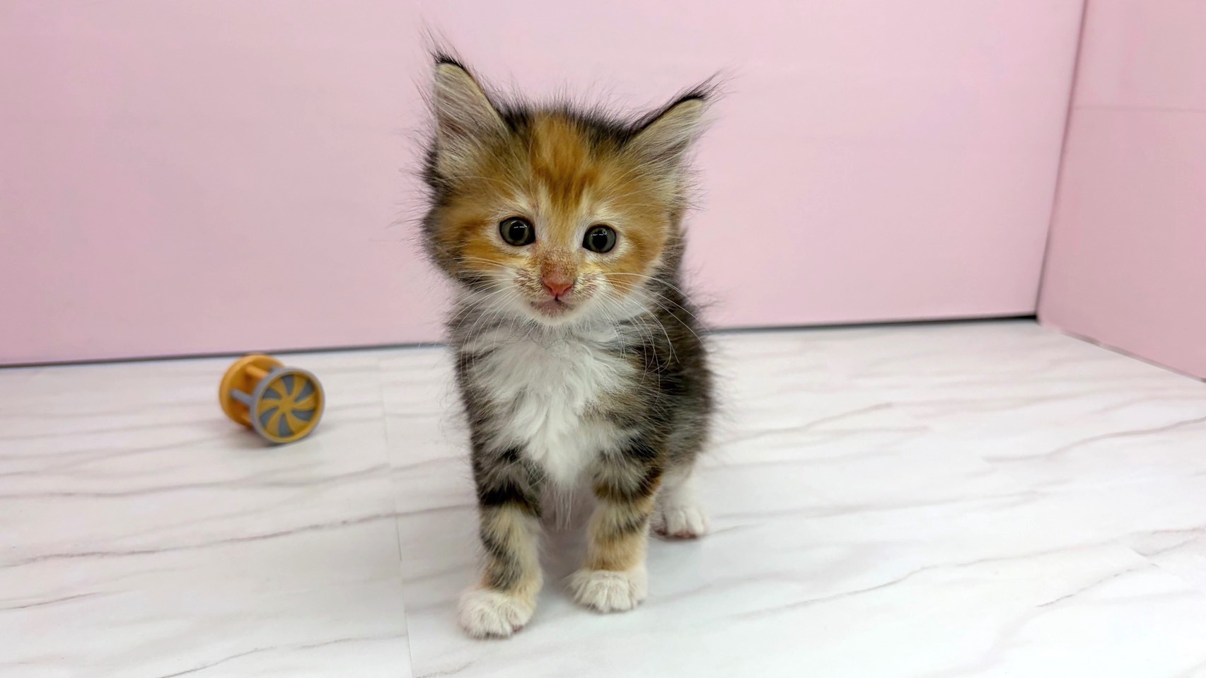 赤ちゃん写真2-1