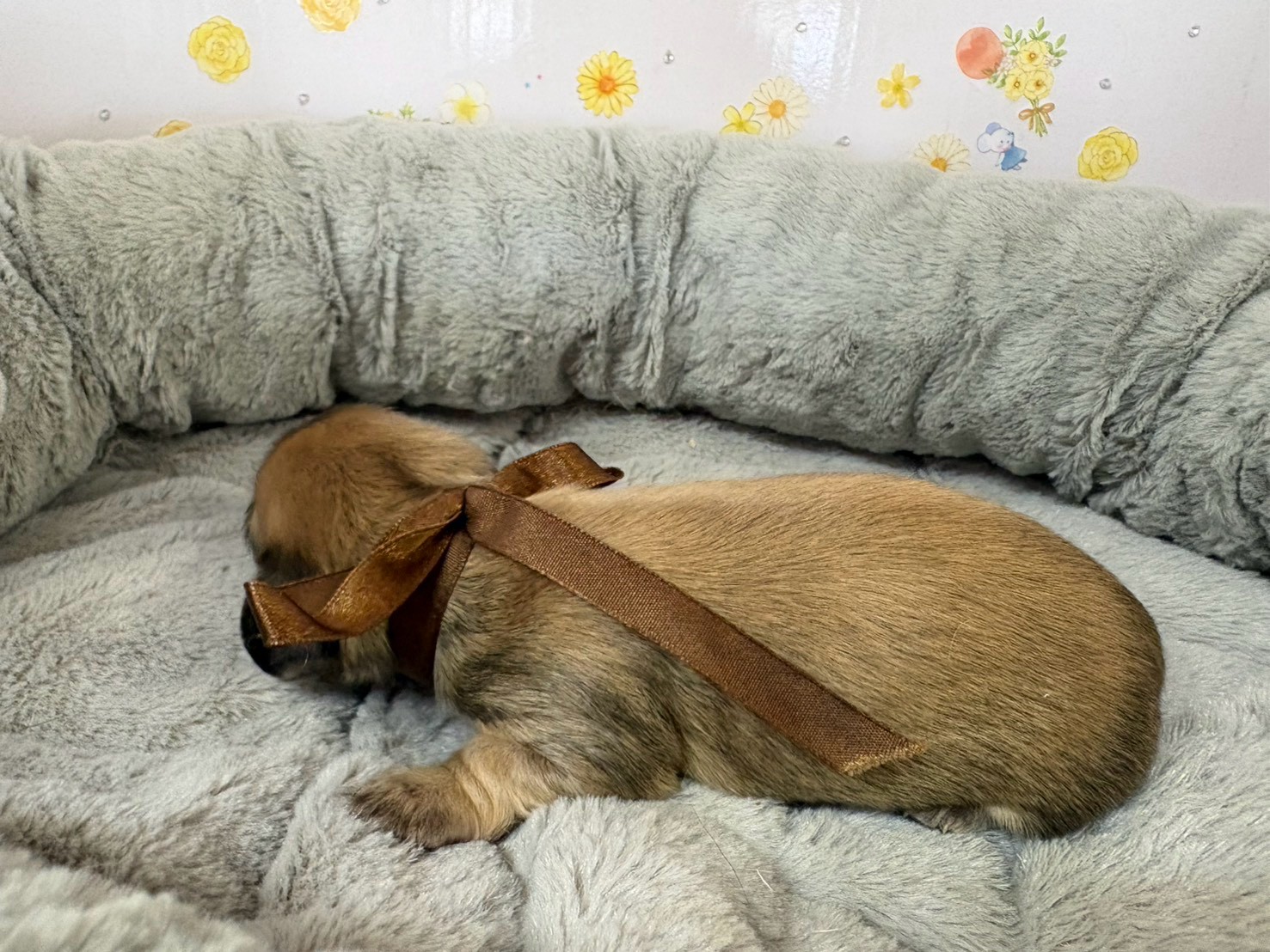 赤ちゃん写真1-2