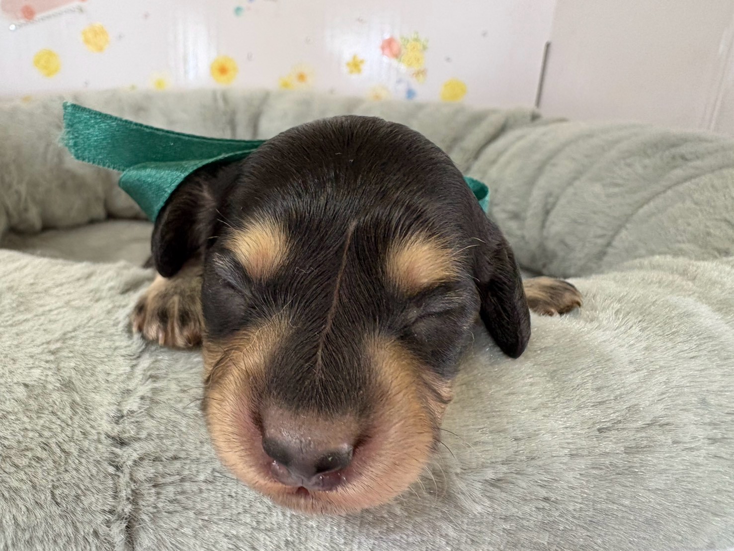 赤ちゃん写真1-1