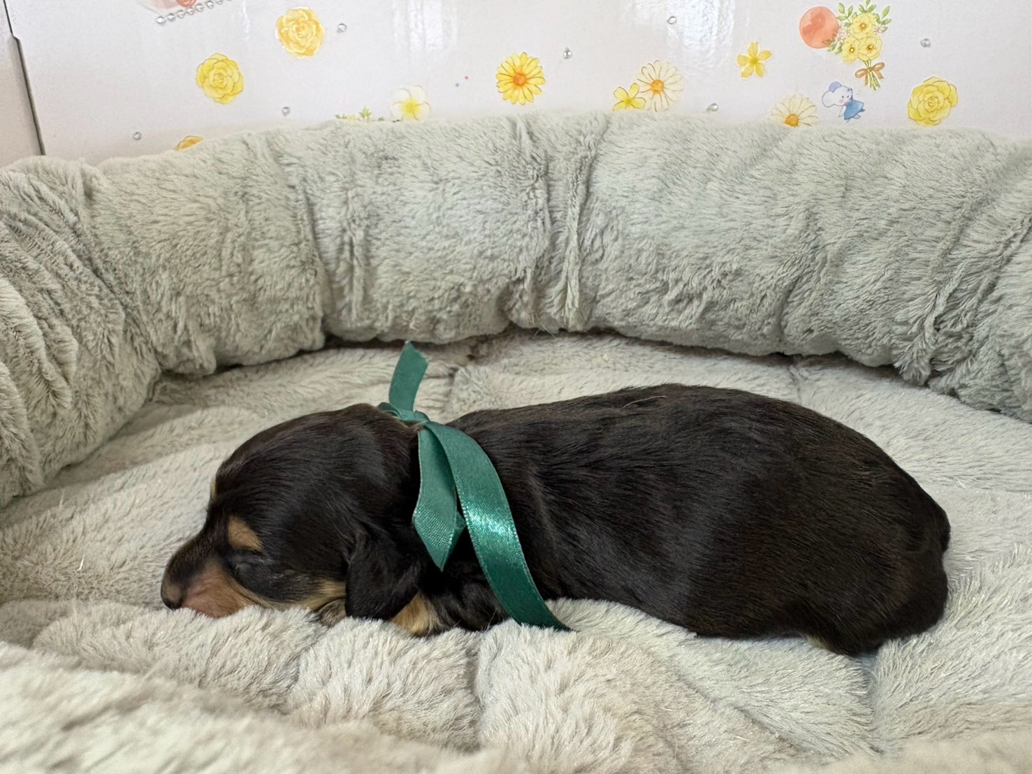 赤ちゃん写真1-2