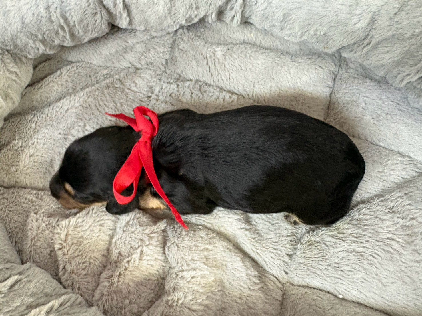 赤ちゃん写真1-3