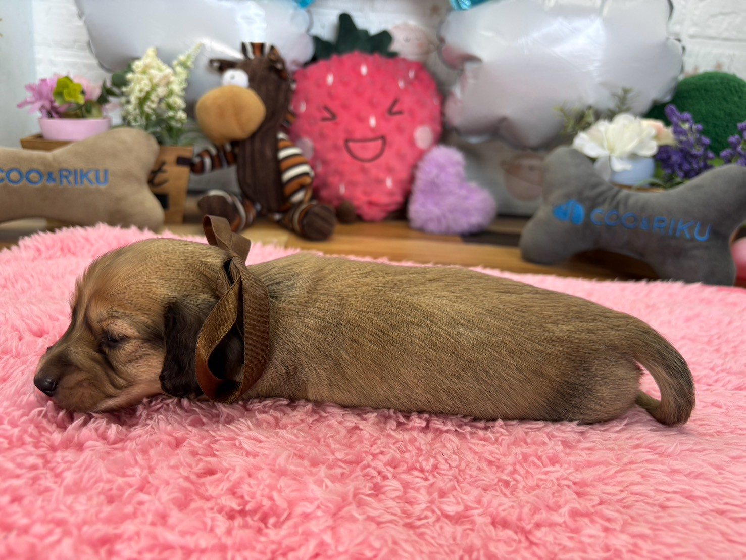 赤ちゃん写真2-2