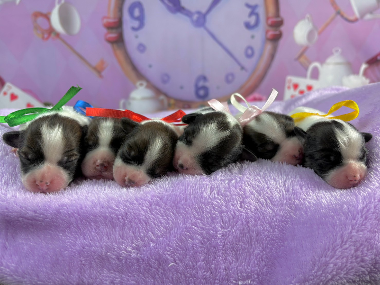 赤ちゃん写真1-3