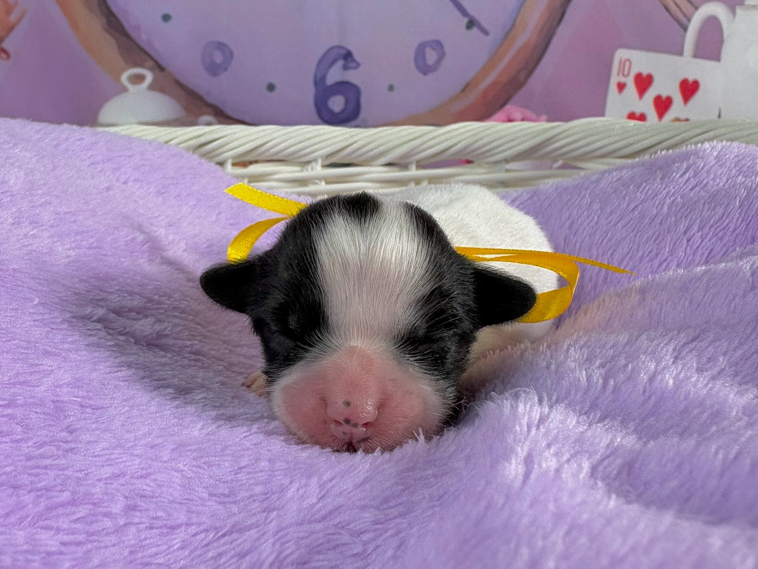 赤ちゃん写真1-1
