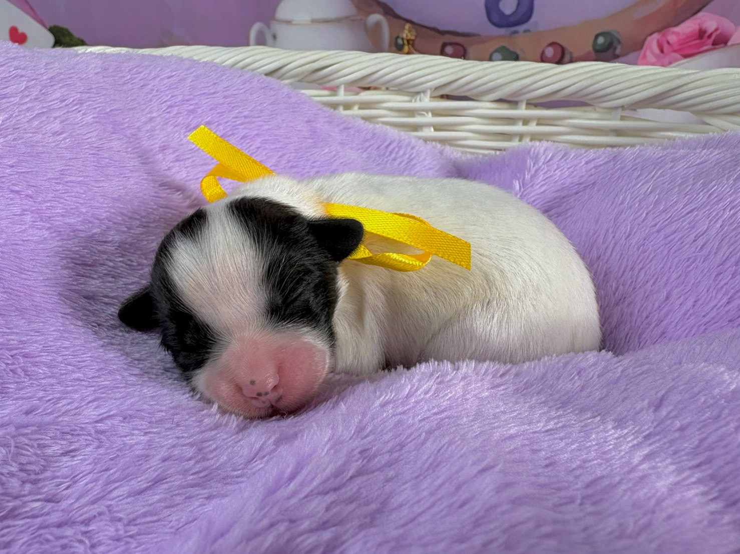 赤ちゃん写真1-2