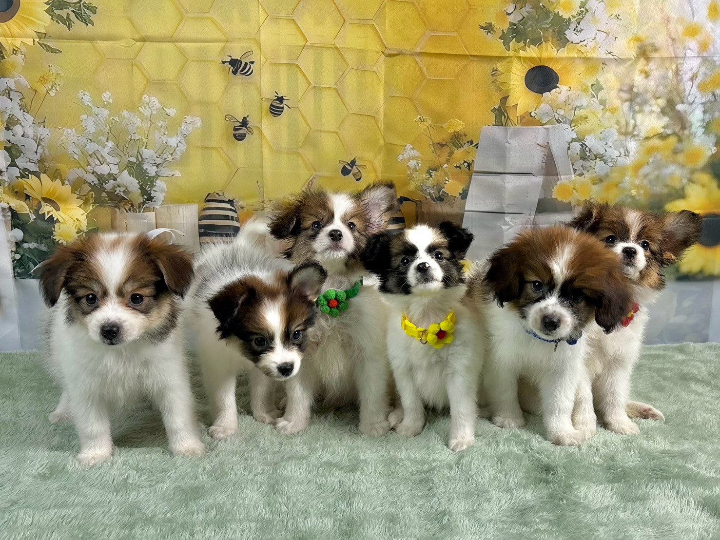 赤ちゃん写真3-3