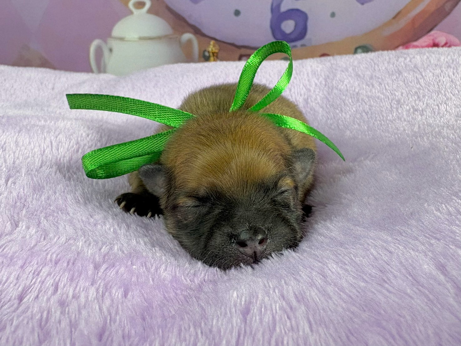 赤ちゃん写真1-1