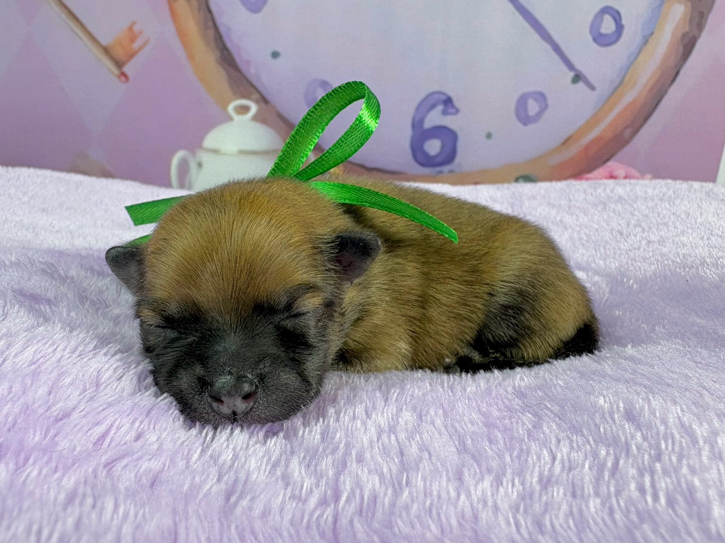 赤ちゃん写真1-2