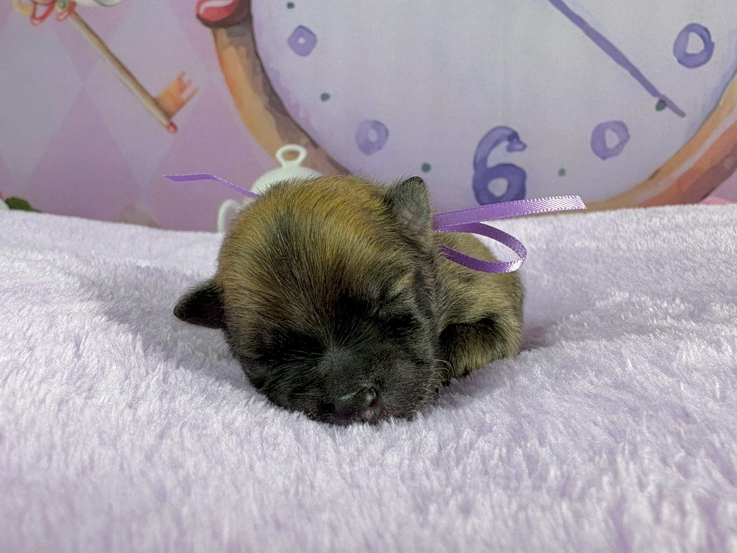 赤ちゃん写真1-1