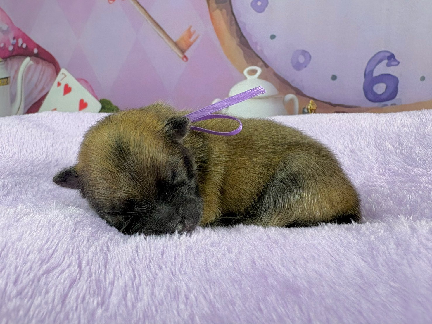 赤ちゃん写真1-2
