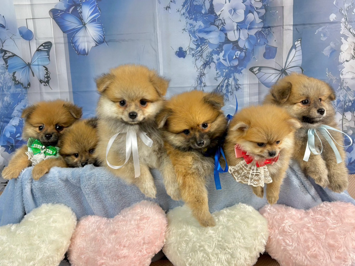 赤ちゃん写真3-3