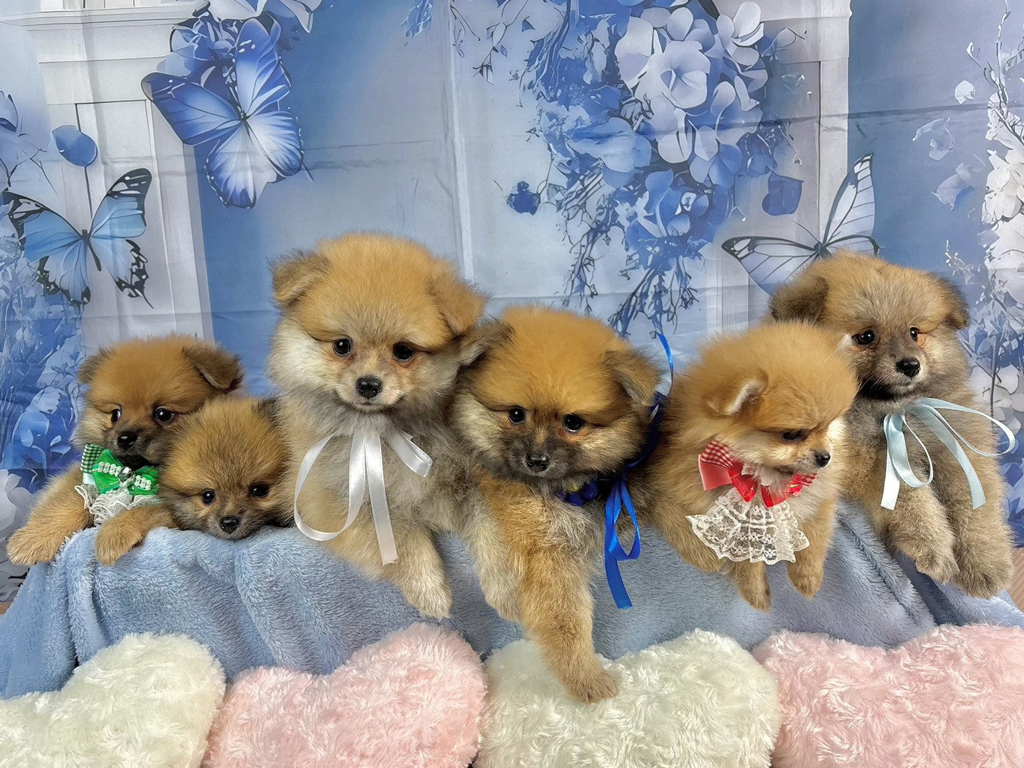 赤ちゃん写真3-3
