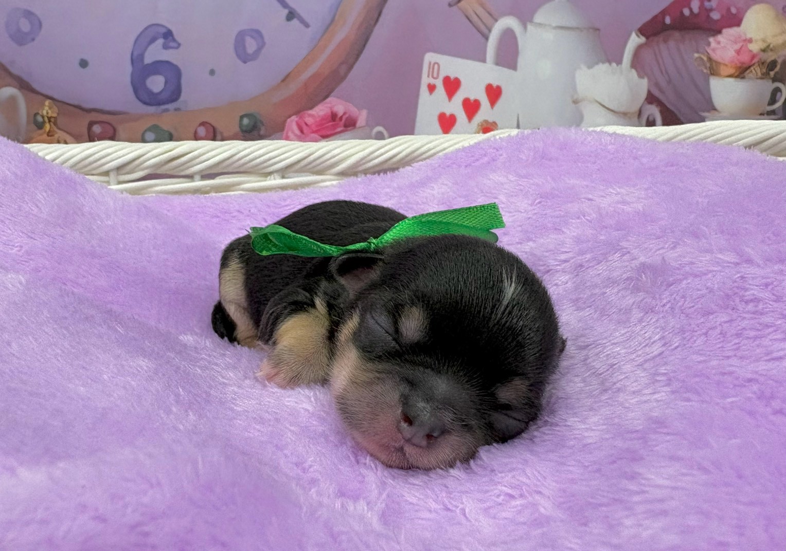 赤ちゃん写真1-1