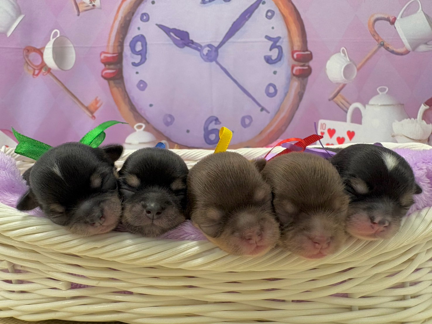 赤ちゃん写真1-3
