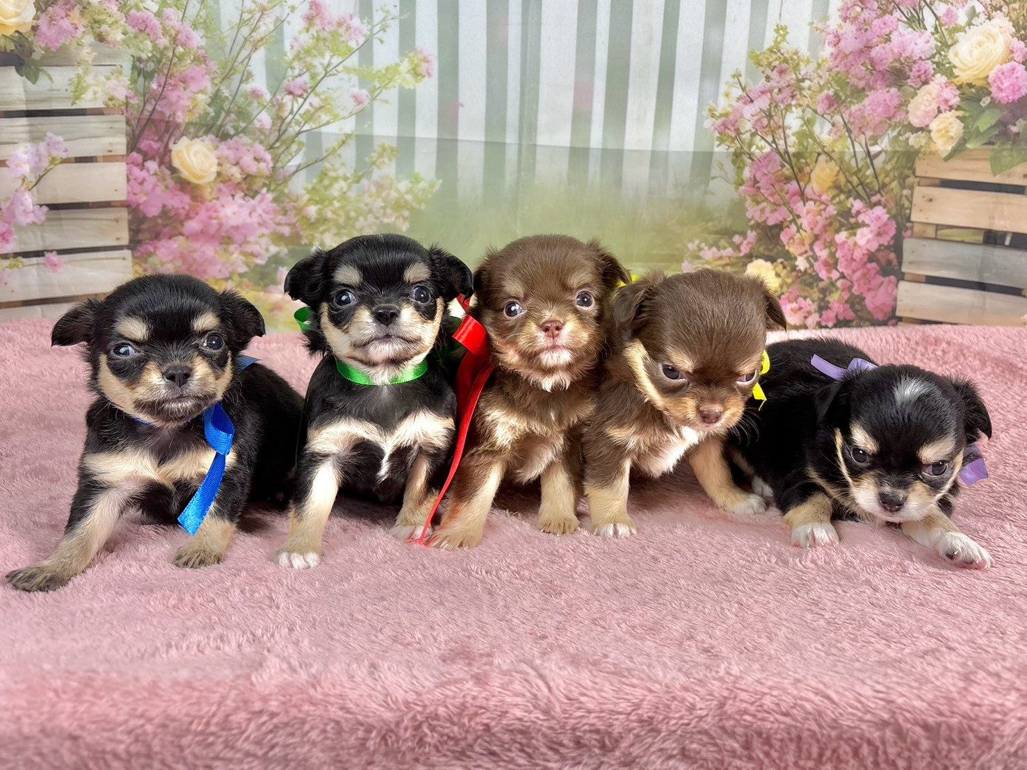 赤ちゃん写真2-3