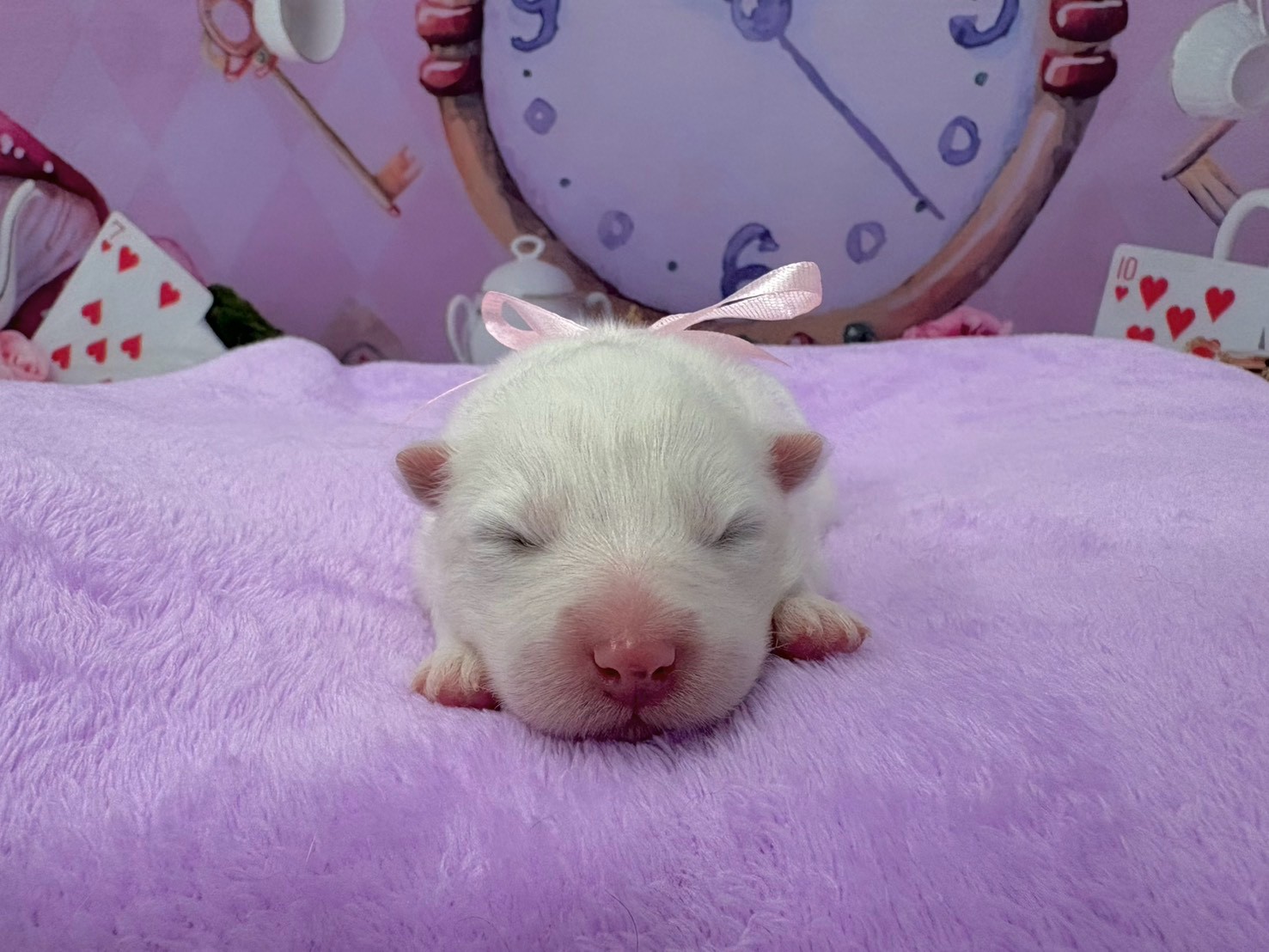 赤ちゃん写真1-1