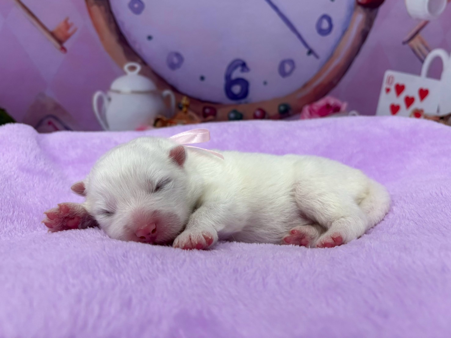 赤ちゃん写真1-2