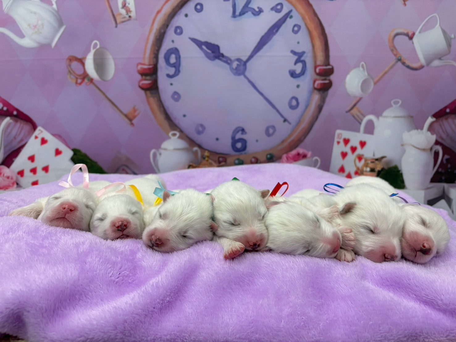 赤ちゃん写真1-3