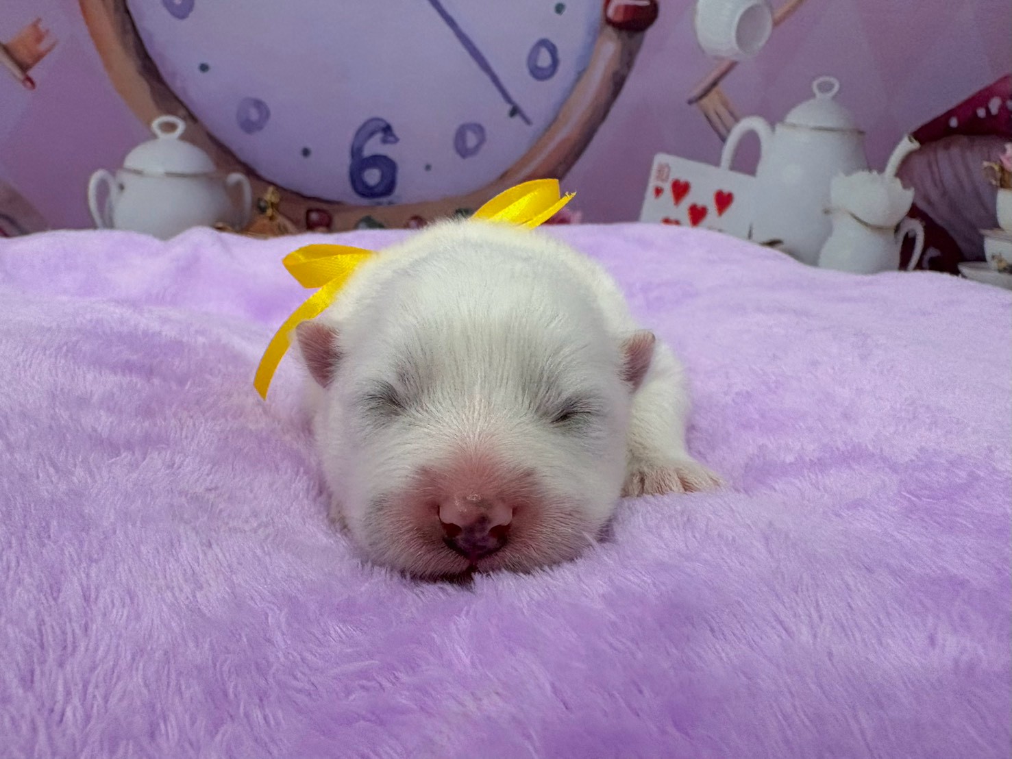 赤ちゃん写真1-1