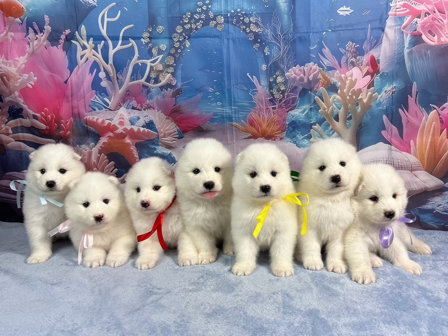 赤ちゃん写真2-3