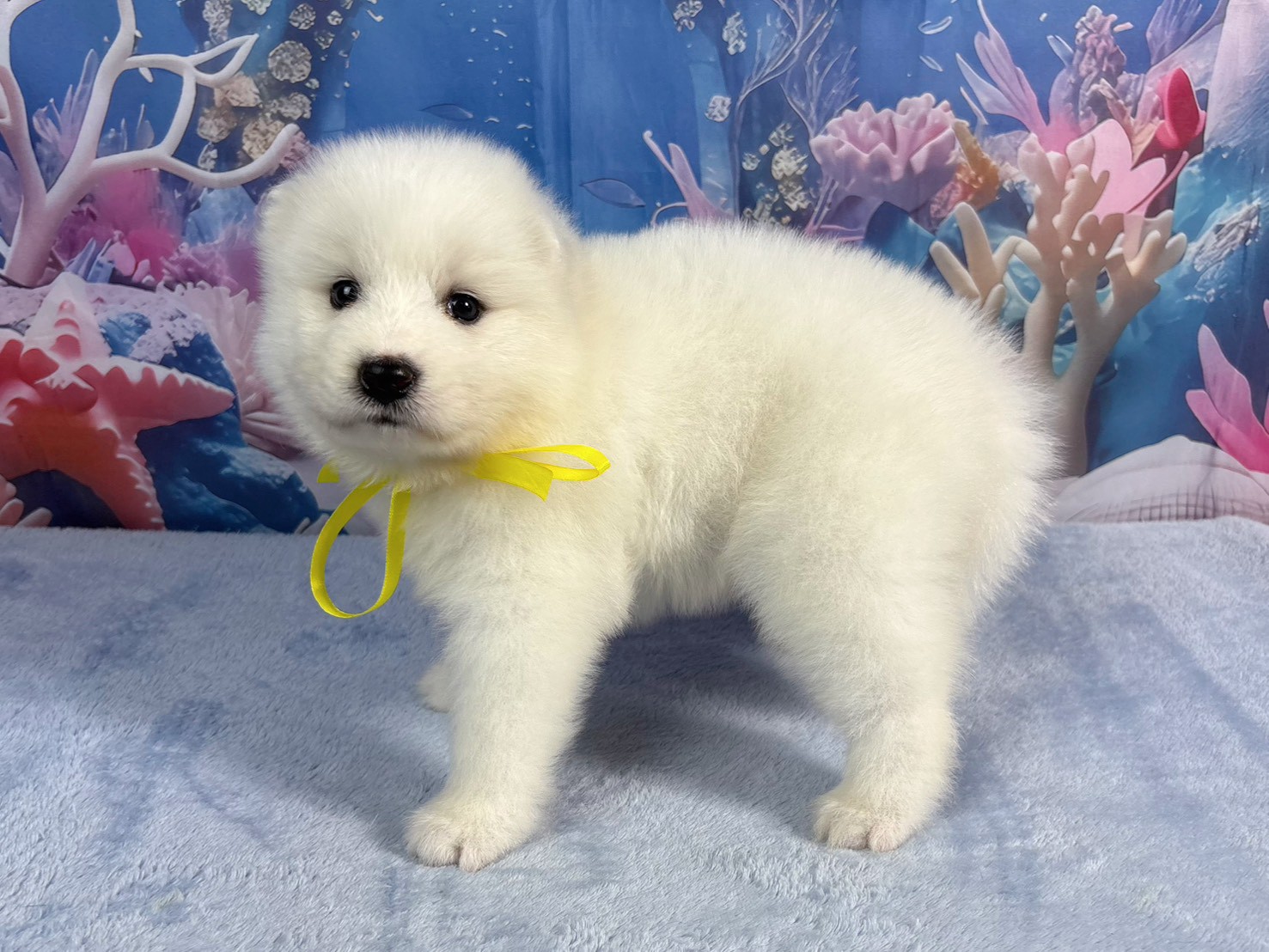 赤ちゃん写真2-2
