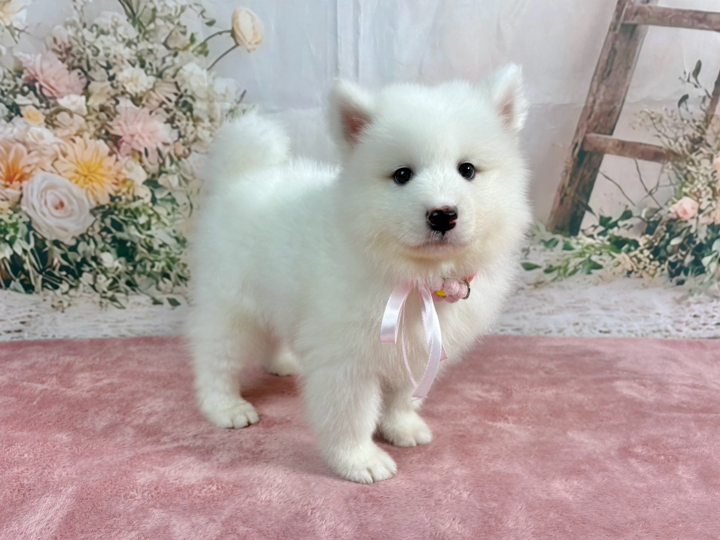 赤ちゃん写真3-2
