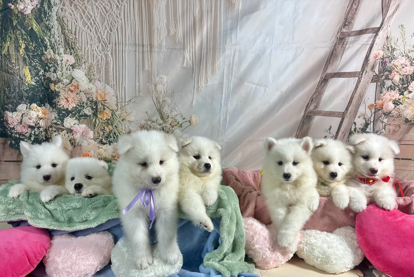 赤ちゃん写真3-3