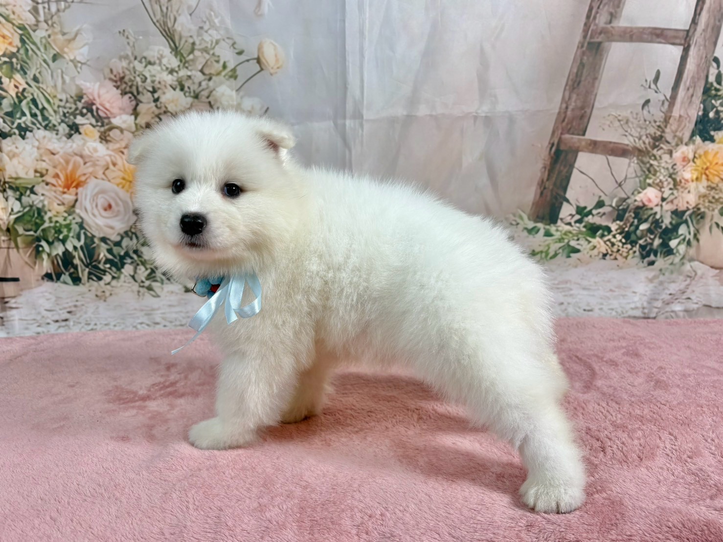 赤ちゃん写真3-2
