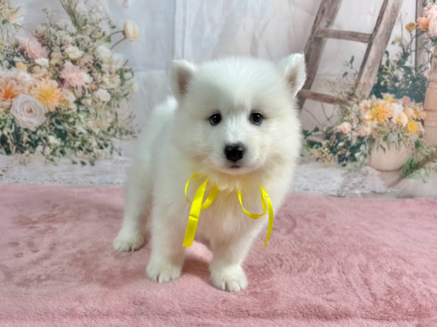 赤ちゃん写真3-1
