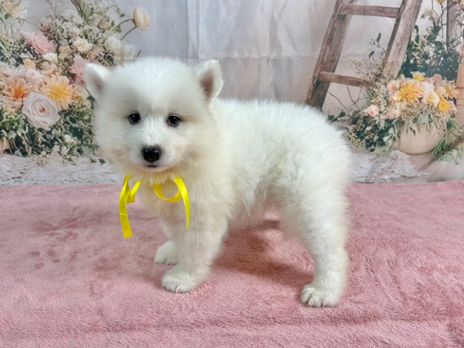 赤ちゃん写真3-2